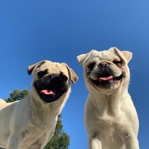 Meet your Posher, Liz